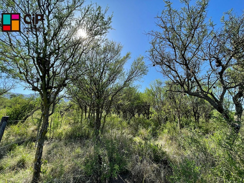 Lote En Venta En Cortaderas