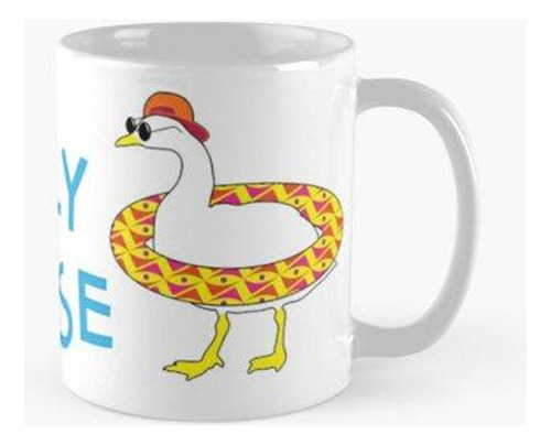 Taza Silly Goose Funny Kids Gafas De Sol Y Flotador Calidad 