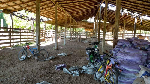Vendo Rancho Ganadero 223 Hectáreas Temapache Veracruz
