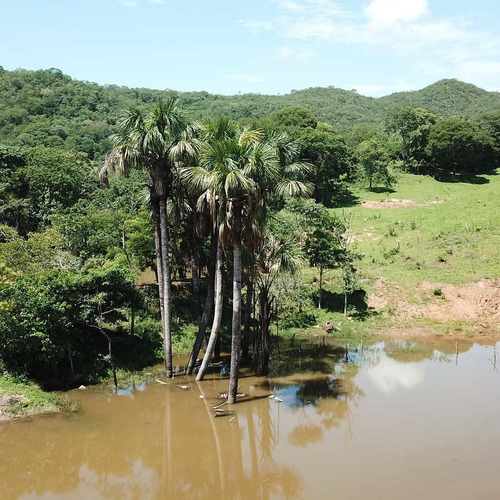 Imagem 11 de 14 de Fazenda - Jaranapolis- 52 Alqueires - Infraestrutura Complet - 16