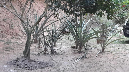 Imagem 18 de 30 de Chácara Em Caneca Fina, Guapimirim/rj De 10900m² 3 Quartos À Venda Por R$ 550.000,00 - Ch322761-s