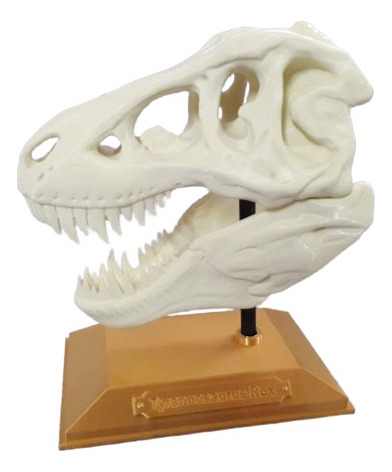 Tiranosaurio Rex Impreso 3d T-rex Color Hueso Y Base Dorada