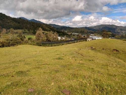 Imagen 4 de 14 de Finca En La Ceja 38 Mil Mts 2.200 Millones