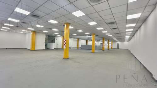 Edificio Comercial En Alquiler En Micrcentro / San Telmo - 2400 M2 -impecable