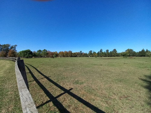 Imagen 6 de 13 de Lote En Venta En Cardales