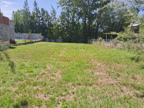 Lote.