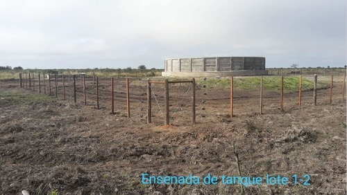 Imagen 4 de 4 de Campo Ganadero Establecimiento La Angelita