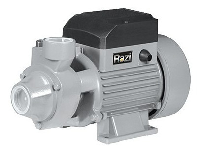 Bomba D Agua 1 Cv Periferica 110v Razi 21156