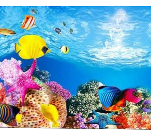 Fondo De Acuario De Doble Cara 50x82cm Tipo A - 50x82cm