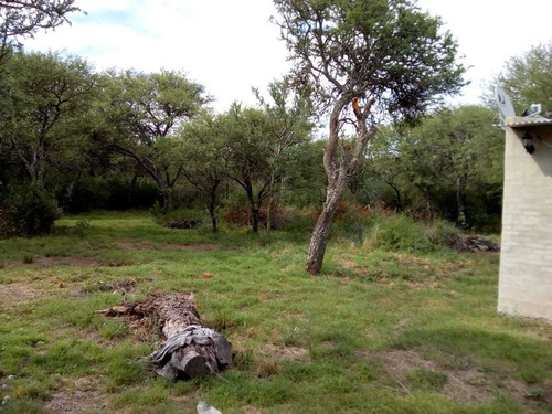 Imagen 13 de 14 de C012bc - Campo 56 Has En Bajo Los Corrales