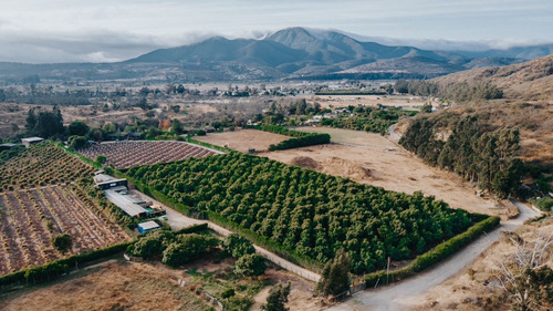 Colmo, Terreno Plano Paltos En Producción