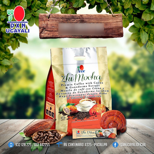 Zhi Mocha Dxn - Café/cacao/ganoderma