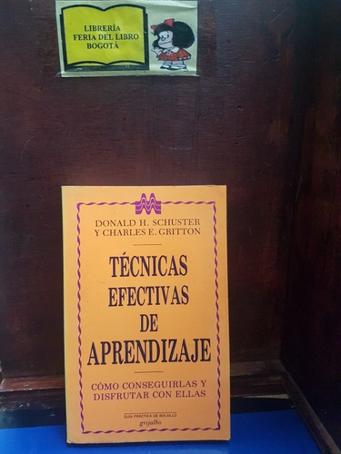 Técnicas Efectivas De Aprendizaje - D Schuster Y C Gritton 