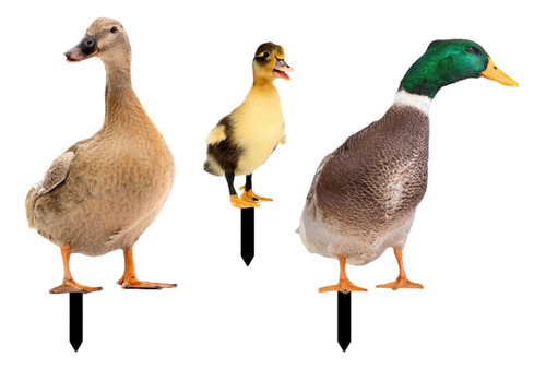 Estacas De Estátua De Animal De Pato 3 Peças, Estacas De