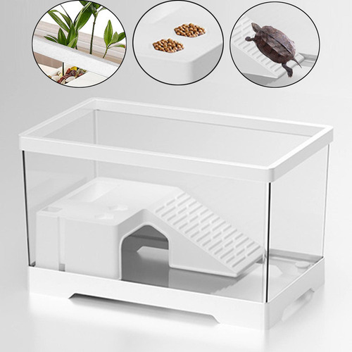 Tanque De Tartaruga, Acessórios Para Habitat Branco Médio