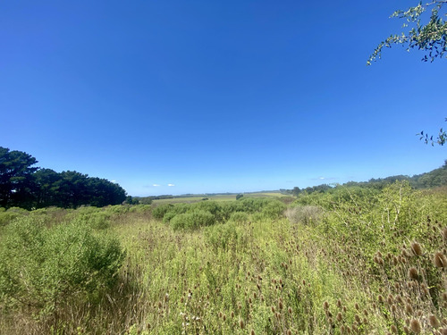 Latorre Prop. Vende 3 Hectareas En Sierra De Los Padres 