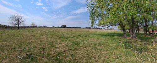 Imagen 5 de 12 de Campo En Venta Sobre Acceso Oeste