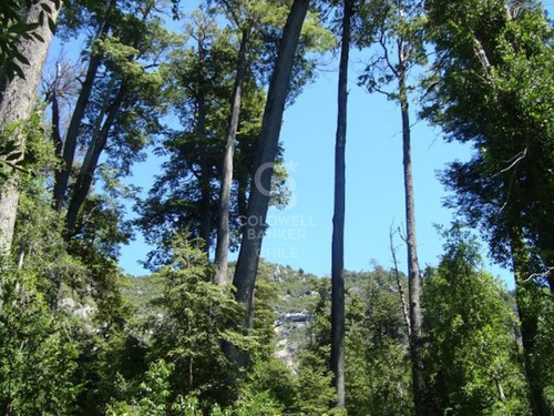 Terreno Exclusivo Con 660 M De Orilla Del Río Futaleufú
