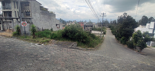 Imagen 10 de 13 de Terreno Urbanizacion El Manantial