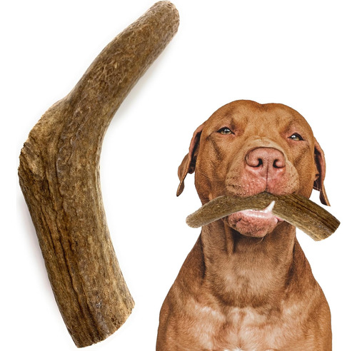 Elk Antlers For Dogs, Grade-a, Premium Antler Chews Per...