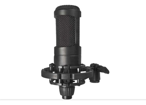 Micrófono Condensador Profesional Audio Pro Ap02039