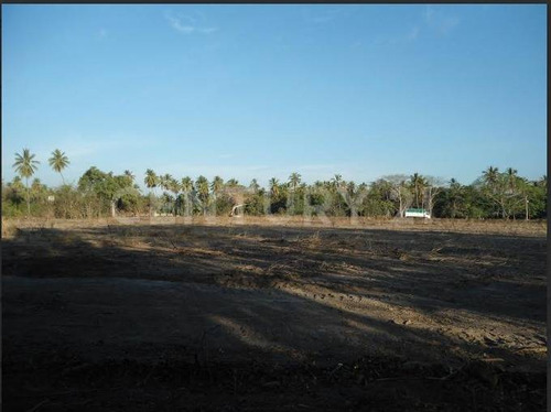 Terreno Carretera Colima-mnzllo, Km 33.5 Tecolapa, Tecomán, Colima