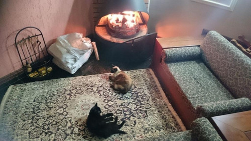 Imagem 4 de 29 de Linda Casa Muito Bem Localizada - Ca0142