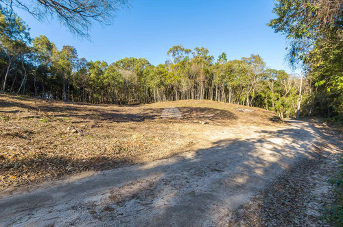Imagem 12 de 30 de Chácara - Residencial - 936672
