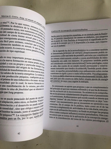 Libro Jung Un Mundo De Imágenes Y Símbolos - N. Costa