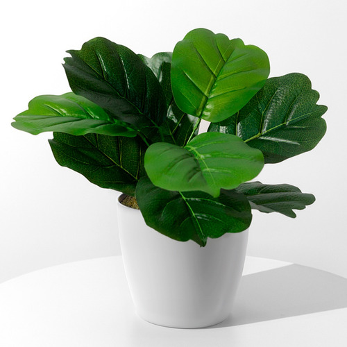 Ficus Planta Artificial Maceta Blanca Piedras Y Musgo 40cm