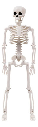 Decoraciones De Esqueletos De Halloween, Esqueleto De Plásti