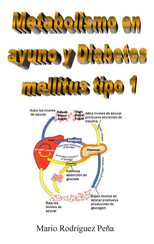 Libro: Metabolismo En Ayuno Y Diabetes Mellitus Tipo 1 (span
