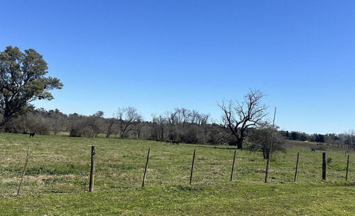 Venta - Lote Interno - Estancia Carabassa | Vco Propiedades