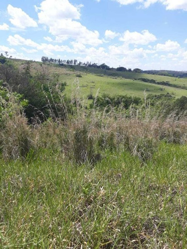 Imagem 24 de 27 de Sitio Campinas Antes Do Pedagio De Jaquariuna 46 Hectares - 42655