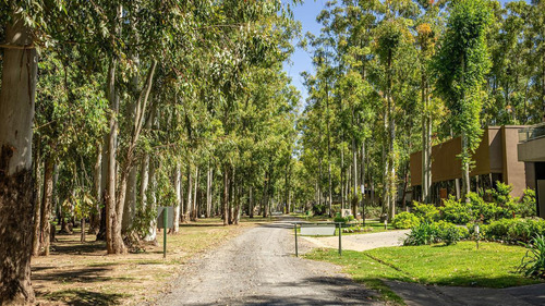 Terreno En  Puerto Paraiso - Barrio Cerrado - Gran Arboleda - Bajada Al Rio