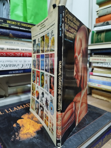 Libro. Cómo Dibujar La Anatomía Del Cuerpo Humano. Parramón. (Usado)