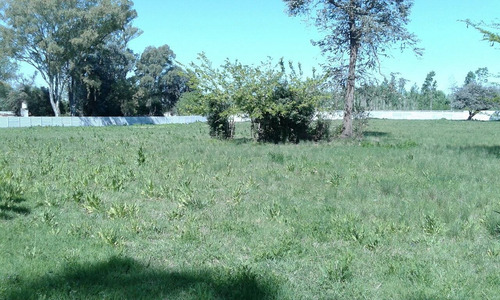 Lote En Bº Semicerrado El Álamo, La Bota