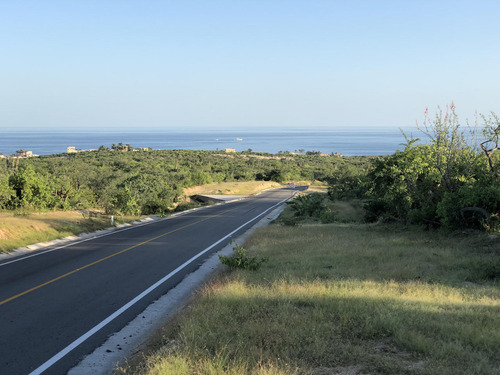 Zacaton Playa Tortuga, Zacaton Developer Land