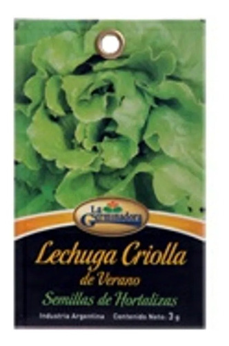 Semillas Lechuga Criolla Sobre Huerta Hidroponia