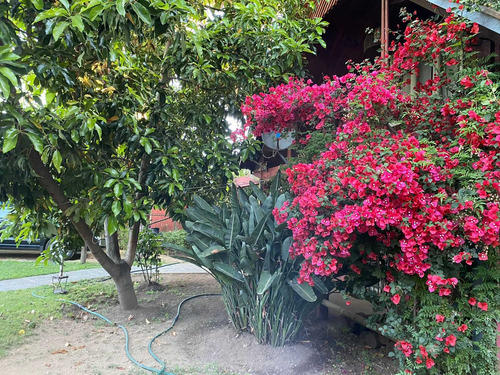 Excelente Casa Centrica En Arriendo (101295)