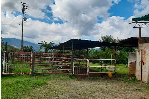 Imagen 10 de 10 de Fd Asein- Sd1454 Vende Hermosa Finca De 2 Hectareas Y Media En Chirgua, Municipio Bejuma Del Estado Carabobo.