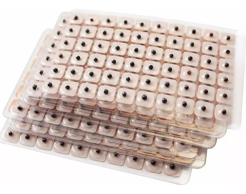 Semillas De Vaccaria X 120 Unidades Para Auriculoterapia