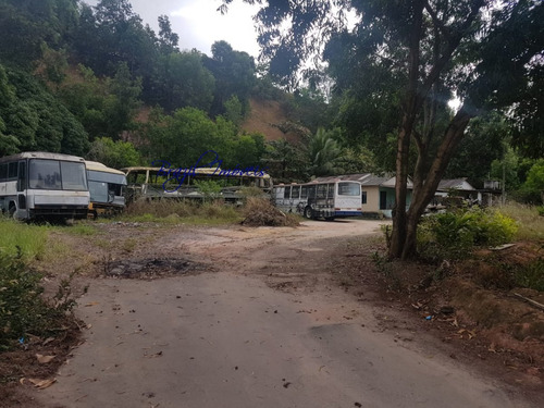 Imagem 6 de 6 de Área Para Alugar No Bairro Itacibá Em Cariacica - Es. - Ga0016-2