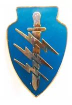 Comprar Antigua Insignia De Fuerzas Especiales Boinas Verdes! Oferta