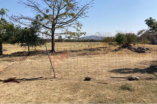 Venta De Increíble Rancho Al Mejor Precio En Tetecala, Morelos,ideal Para Inversionistas Y Ganad...