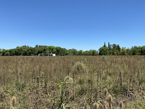 Imagen 9 de 13 de Venta - Lote - Sobre Colectora - El Remanso - Exaltacion De La Cruz