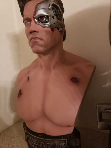 Busto Terminator Chronicle