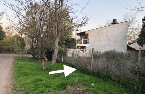 Imagen 6 de 9 de Terreno - Pilar