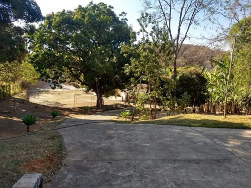 Imagem 7 de 28 de Sitio Em Ravena 10 Mil M2 C/ Piscina, Area De Churrasco, Arvores Frutiferas - 94803