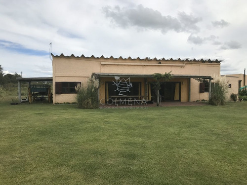 Imagen 5 de 30 de Venta De Chacra Sobre Ruta 9 A 30 Km De Jose Ignacio - Maldonado Ruta 9